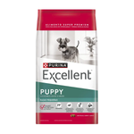 Excellent Cachorro Razas Pequeñas
