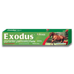 EXODUS PASTA