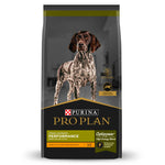 Pro Plan Performance